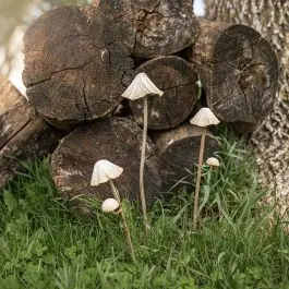 Antiqued Metal Mushroom Stem Plant Stake Set of 3 Buy Online