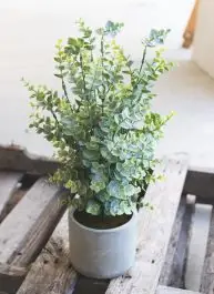 No Minimum Order Faux Boxwood With Cement Pot