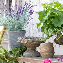 Fruitful Footed Garden Bowl Bulk Order