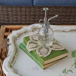 Clear Glass Plant Mister Set of 2 Fan Favorite