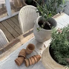 Found Terra Cotta Mini Pot Set of 16 Best Choice