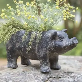 Trusted Brand Rustic Farmhouse Piggy Planter