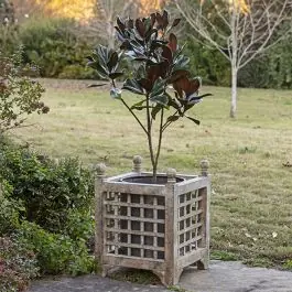 Free Shipping Square Metal Lattice Planter With Insert