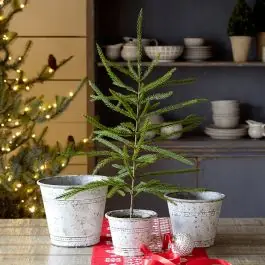 Rustic Whitewash Tin Pot Set of 3 Original