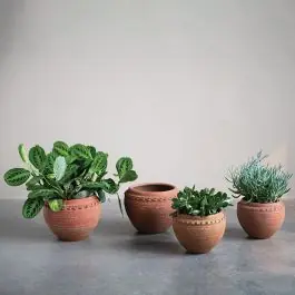 Classic Textured Terracotta Planter Pot One of Each Time-Limited