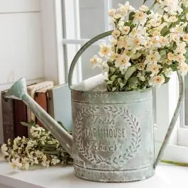 Fresh Flower Watering Can Exclusive Offer