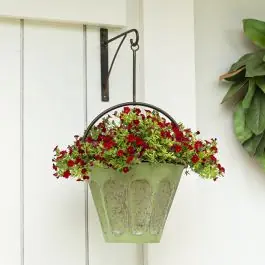 Place Order Bright Hanging Planter