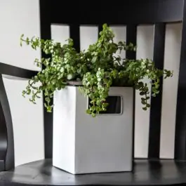 Free Returns Modern Farmhouse Enamel Planter