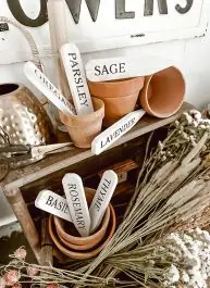 White Paulownia Wood Herb Markers Set of 7 Genuine
