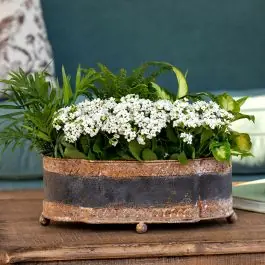Direct From Factory Aged Regal Metal Planter