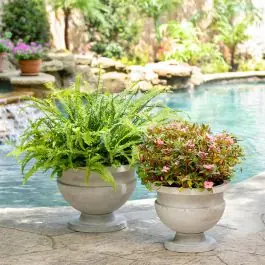 Elegant Round Metal Planters Set of 2 Limited Edition