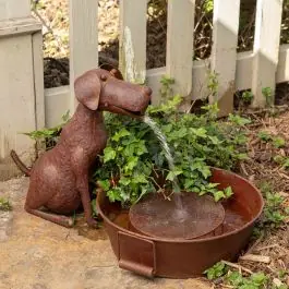 Rustic Dog Water Fountain Certified