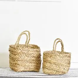 Handled Seagrass Planter Set of 2 Trending