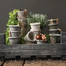 Best Choice Clay Pots With Rustic Finishes Set of 4