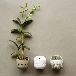 Limited Time Terra Cotta Wall Planters Set of 3