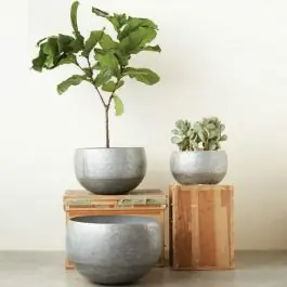 Round Galvanized Metal Planters Set of 3 Viral