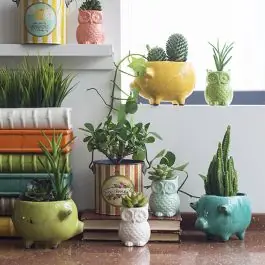Price Cut Terra Cotta Pig Planters Set of 3