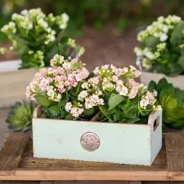 Pretty Cottage Wood Planter Don’t Miss Out
