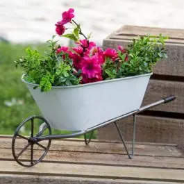 Price Drop Metal Wheelbarrow Planter