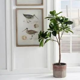 Time-Limited Faux Ficus Tree With Pot