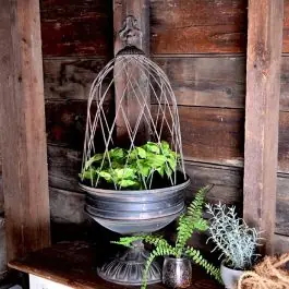 Wire Dome Pedestal Planter Exclusive