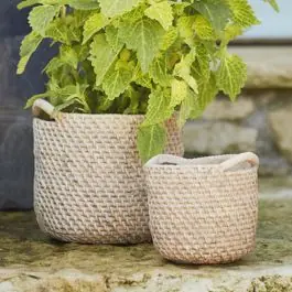 Handled Cement Basket Planter Pot Set of 2 Buy Direct