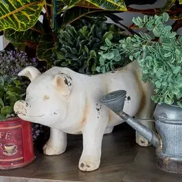 Modern Patty Pigtunia Planter