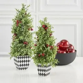 Certified Boxwood Tree in Harlequin Pot Set of 2
