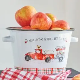 Limited Time Farm Living Planter Bucket