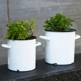 Enameled Stock Pot Planters Set of 2 Hassle-Free Returns