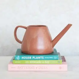 Special Discount Reactive Glaze Stoneware Watering Can