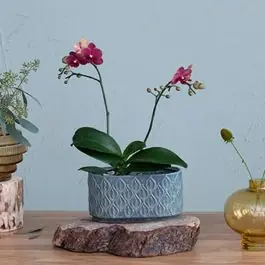 Reduced Price Reactive Glaze Embossed Oval Planter