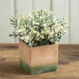 Potted Faux Baby Tear Plant Set of 2 Handmade