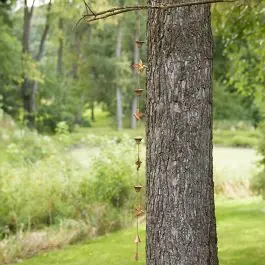 Limited Offer Bronzed Hummingbird Rain Chain