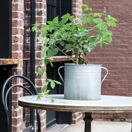 Brand New Handled Zinc Drum Washing Tub