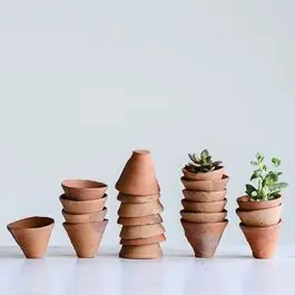 Mini Terracotta Pot Set of 12 Money Back Guarantee