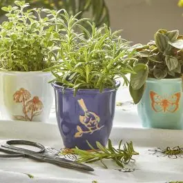 Springtime Herb Planter Pot Set of 5 Affordable