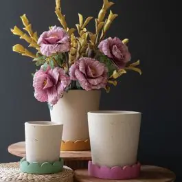 Terracotta Planter Cup With Scalloped Tray Set of 3 Bargain