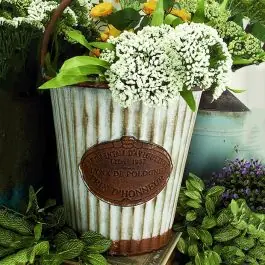 French Emblem Planter Bucket Set of 3 Price Drop