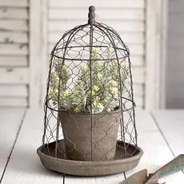Price Drop Terra Cotta Pot and Saucer With Wire Cloche