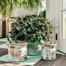 Patina Finish Metal Bucket Planter Set of 3 One Day Deal