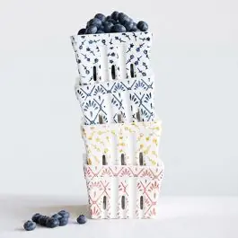 Limited Time Stamped Stoneware Berry Baskets Set of 4