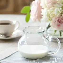 Organic Clear Glass Round Pitcher Secure Checkout